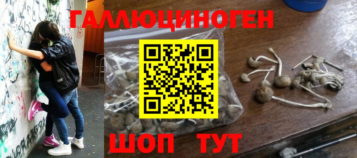 Галлюциногенные грибы мухоморы Кировск