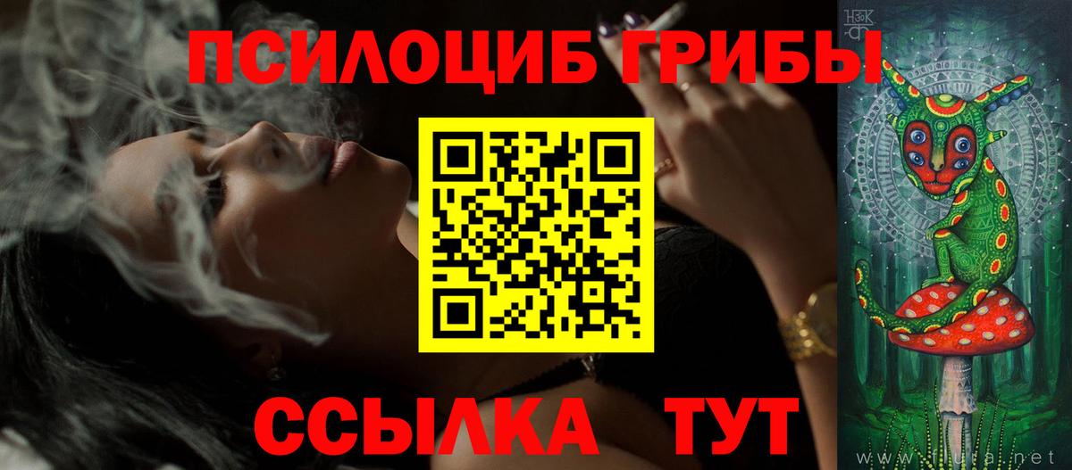 Кировск  Псилоцибиновые грибы MAGIC MUSHROOMS  Псилоцибиновые грибы Psilocybine cubensis  сколько стоит  Вход с VPN 